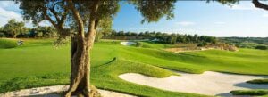 Amendoeira Resort Faldo Golf Course green and tree