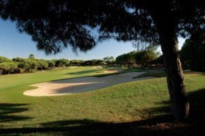 San Lorenzo Golf Course bunjer and tree