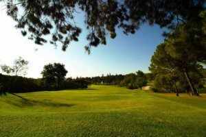 Alto Golf Course - fairway with trees