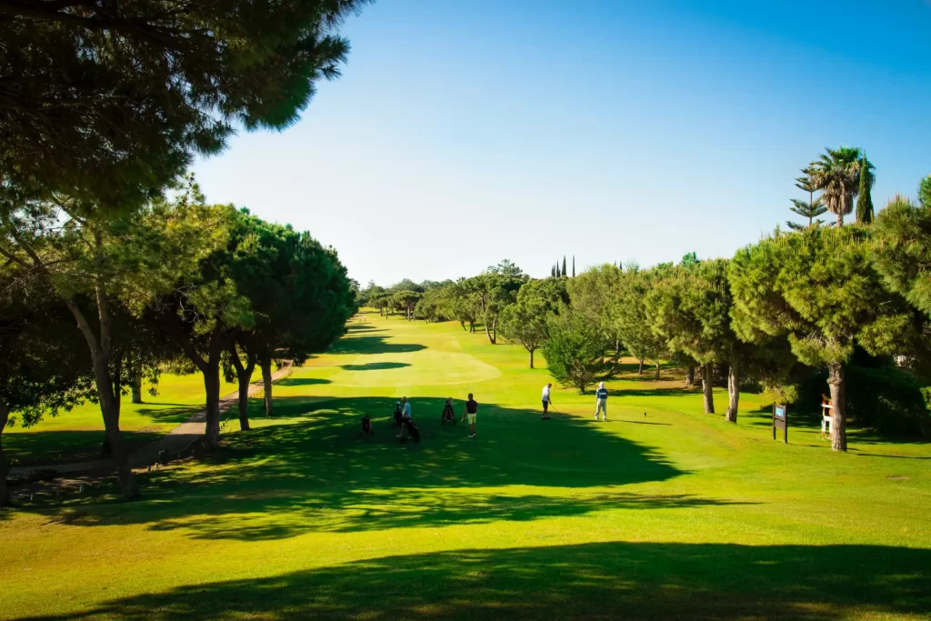 Pestana Vila Sol Golf Course tee box