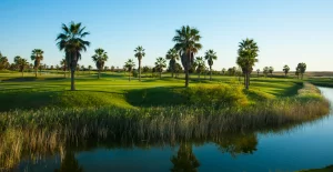 Salgados Golf Course Lake and Palm Trees