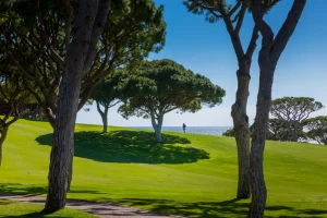 Vale do Lobo Ocean golf Course trees
