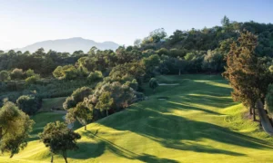 Marbella Club Resort - Fariway Green and Trees